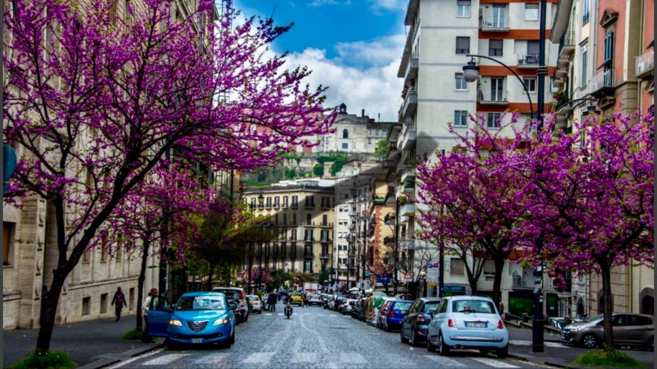 Borgo Santa Lucia Apartment 那不勒斯 外观 照片